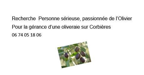 Annonce Mise en gérance Olivreraie sur Corbières.jpg